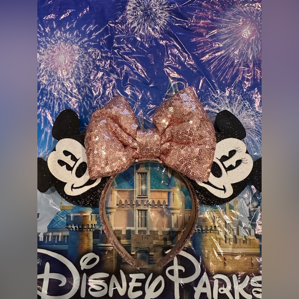 Custom Disney ears